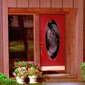 Decorative Front Entry Door with Glass